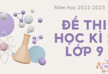 Đề thi học kì 2 lớp 9 môn Hóa học năm học 2022-2023