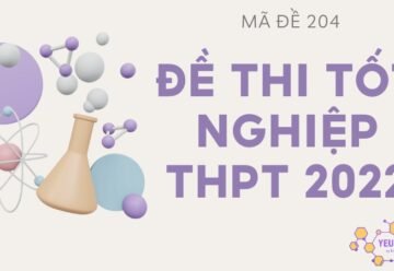 Giải đề thi tốt nghiệp THPT quốc gia 2022 môn Hoá – Mã đề 204