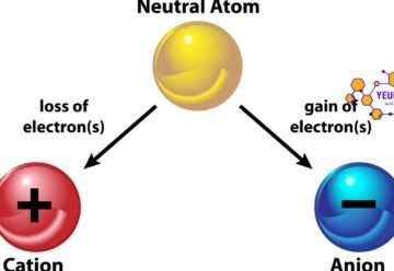 Cân bằng ion: Khái niệm, cách cân bằng và bài tập áp dụng 