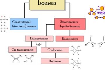 Đồng phân: Định nghĩa, phân loại và vai trò