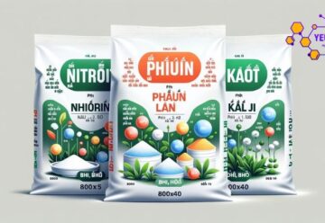 Phân bón hóa học là gì? Phân loại, thành phần và ứng dụng 