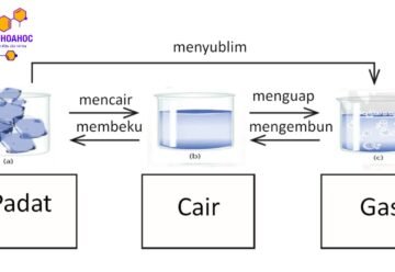 Sự biến đổi chất: Định nghĩa, dấu hiệu nhận biết và ý nghĩa