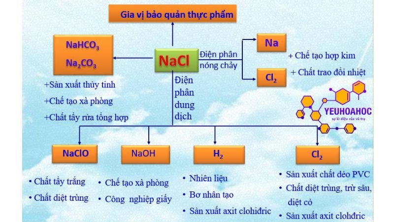 ung-dung-cua-muoi