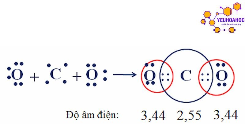 cac-yeu-to-anh-huonhg-den-lien-ket-cong-hoa-tri