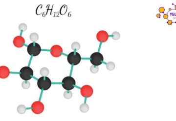 Glucozơ: Khái niệm, điều chế và tính chất