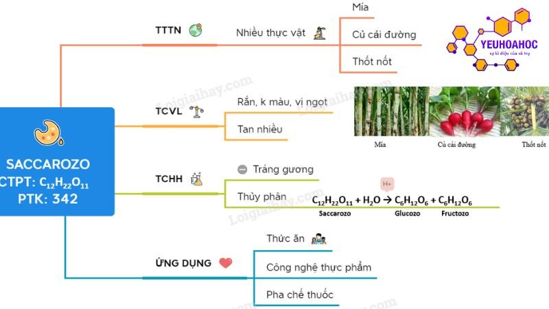 khai-niem-va-cau-tao-hoa-hoc-cua-sacarozo