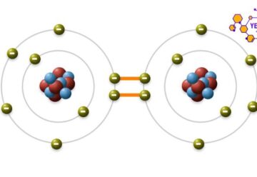 Liên kết cộng hoá trị: Khái niệm, đặc điểm và ứng dụng