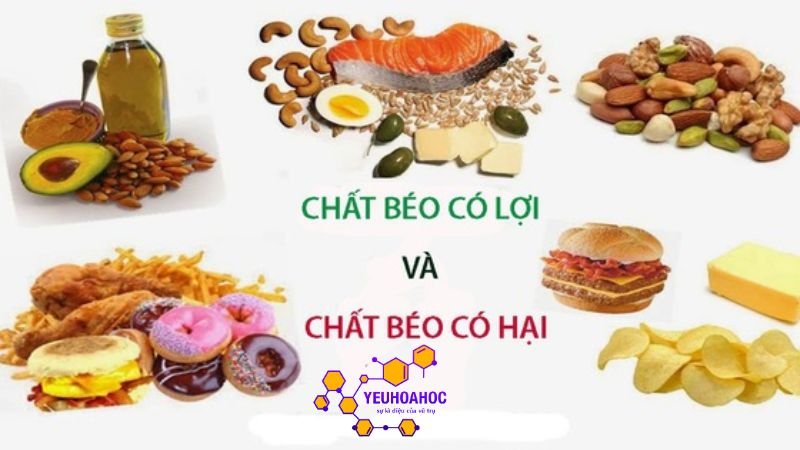 mot-so-loai-chat-beo-pho-bien