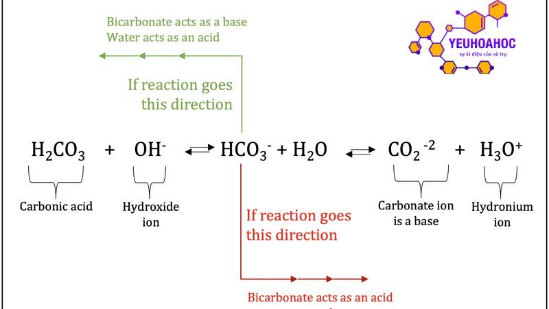 tinh-chat-cua-axit-cacbonic