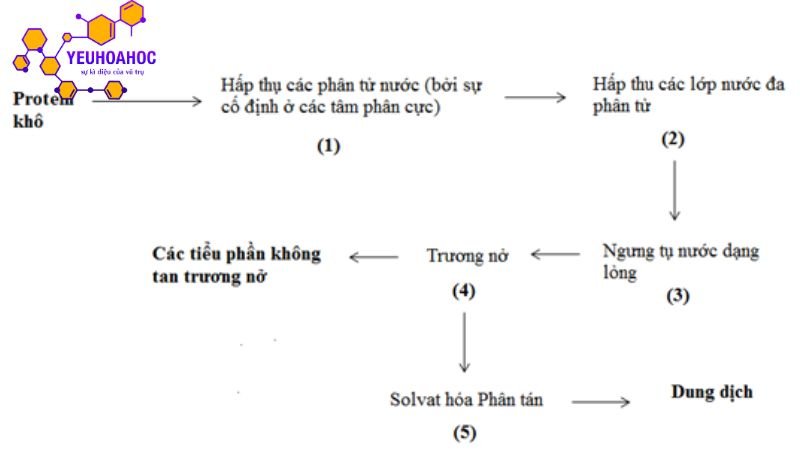 tinh-chat-cua-protein