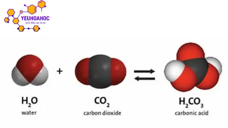ung-dung-cua-axit-cacbonic
