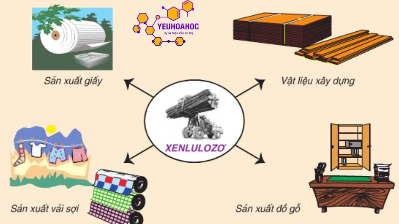ung-dung-cua-xenlulozo