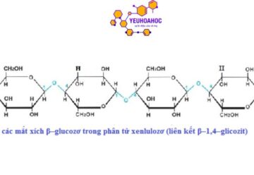 Xenlulozơ: Khái niệm, cấu tạo, điều chế và bài tập 