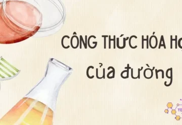 Công thức hóa học của đường – tìm hiểu cấu trúc C6H12O6