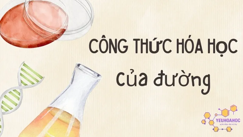 Công thức hóa học của các loại đường phổ biến