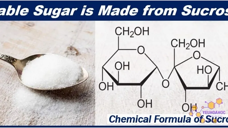 Công thức hóa học của các loại đường phổ biến 2