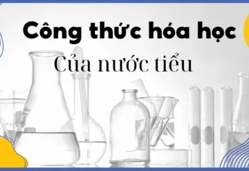 Công thức hóa học nước tiểu – Thành phần và phản ứng hóa học