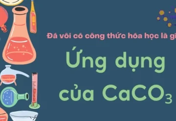 Đá vôi có công thức hóa học là gì? Ứng dụng của CaCO₃ trong đời sống