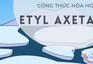 Công Thức Hóa Học Etyl Axetat – Tìm Hiểu Chi Tiết Về Etyl Axetat