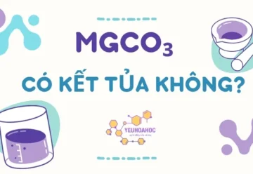 MgCO₃ có kết tủa không? Tính chất hóa học của MgCO₃