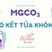 MgCO₃ có kết tủa không? Tính chất hóa học của MgCO₃