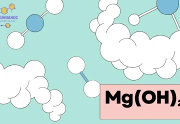 Mg(OH)₂ có kết tủa không? Các phản ứng hóa học của Mg(OH)₂