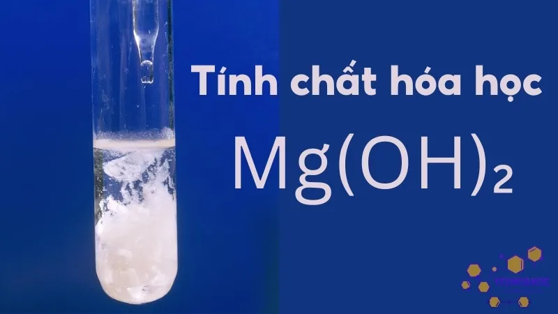 Tính chất hóa học của Mg(OH)₂