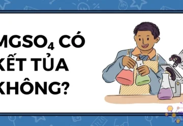 MgSO₄ có kết tủa không? Phân tích phản ứng hóa học