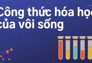 Vôi sống có công thức hóa học là gì? Tìm hiểu về CaO trong hóa học