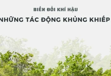 Biến đổi khí hậu – Tác động khủng khiếp đến hệ sinh thái và con người