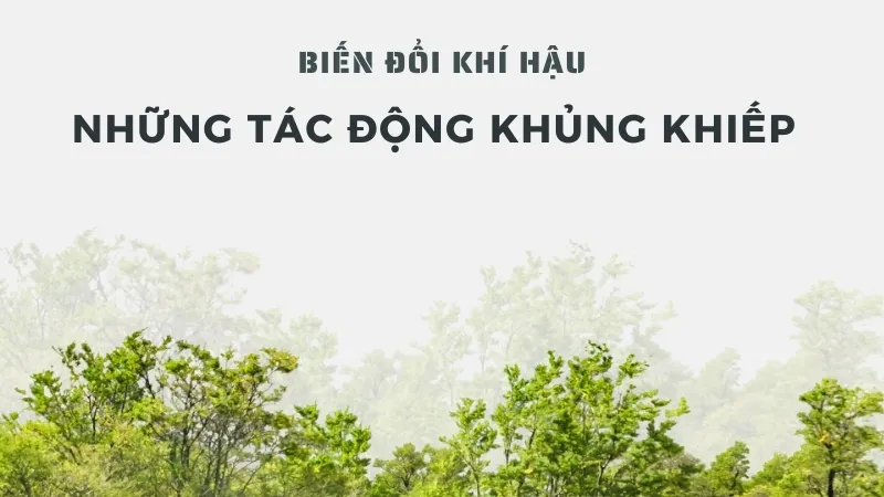 Biến đổi khí hậu là gì và tại sao nó lại là vấn đề?