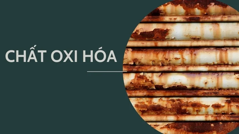 Chất oxi hóa được hiểu như thế nào?