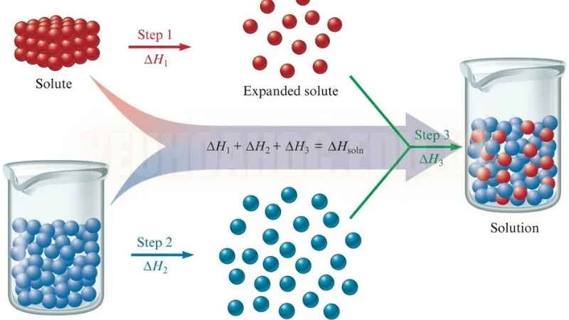 Các yếu tố ảnh hưởng đến quá trình hòa tan