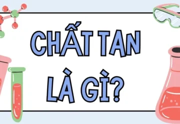 Chất tan là gì? Quá trình hòa tan chất tan