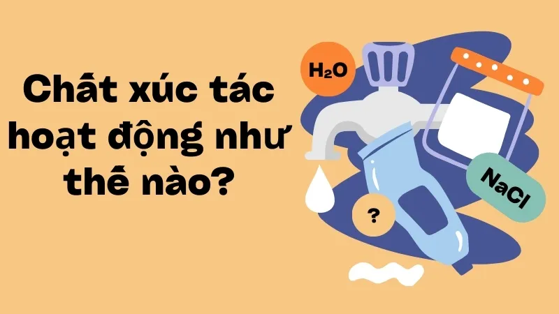 Chất xúc tác hoạt động như thế nào?