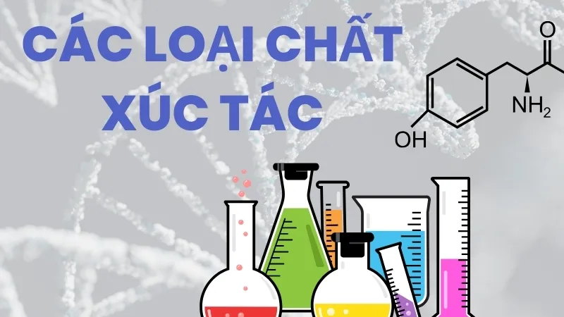 Các loại chất xúc tác