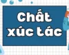 Chất xúc tác là gì? Làm thế nào chất xúc tác thay đổi cơ chế phản ứng hóa học?