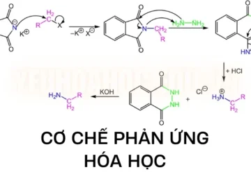 Cơ chế phản ứng hóa học – Các yếu tố ảnh hưởng đến cơ chế phản ứng hóa học