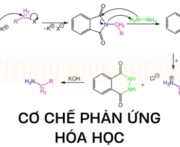 Cơ chế phản ứng hóa học – Các yếu tố ảnh hưởng đến cơ chế phản ứng hóa học