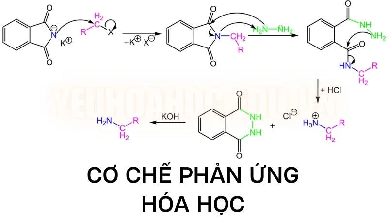 Cơ chế phản ứng hóa học là gì?