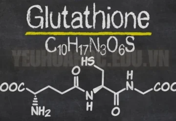 Glutathione có phải là “thần dược” chống oxy hóa cho cơ thể?