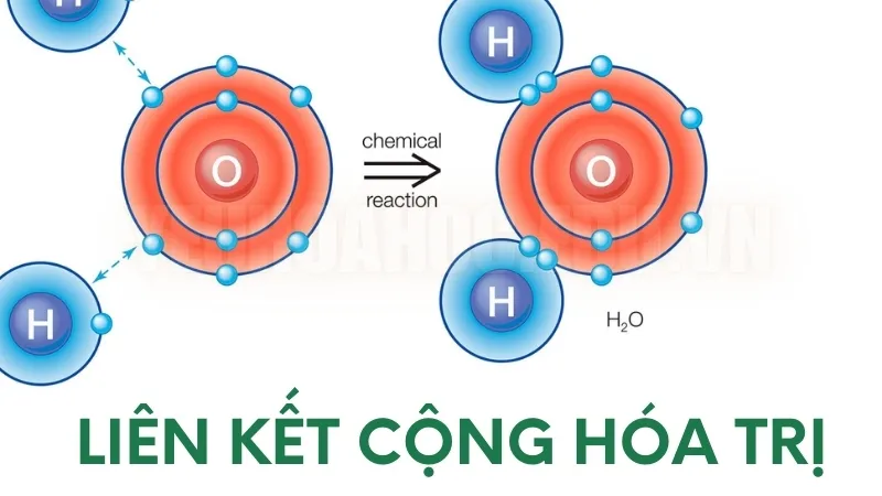 Liên kết cộng hóa trị