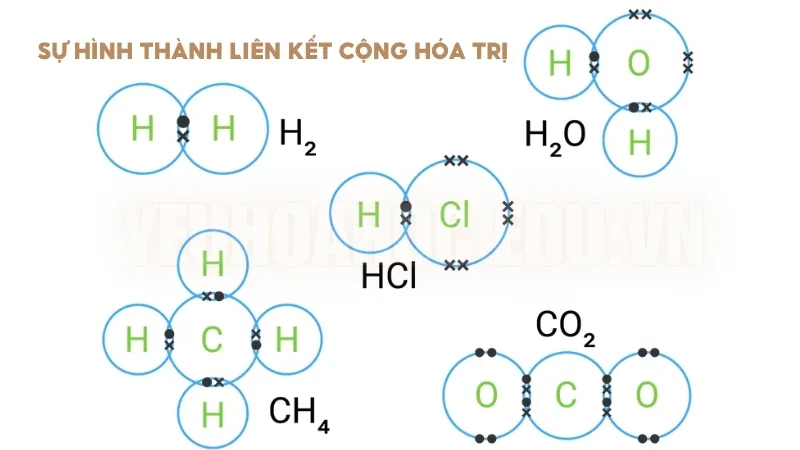 Sự hình thành liên kết cộng hóa trị 