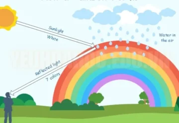 Tại sao lại có cầu vồng? Các biến thể của cầu vồng