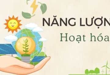 Chất xúc tác và năng lượng hoạt hóa – Làm sao để tăng tốc phản ứng?