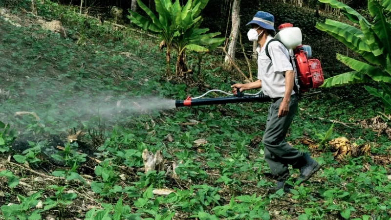 Nguyên nhân gây ô nhiễm đất 