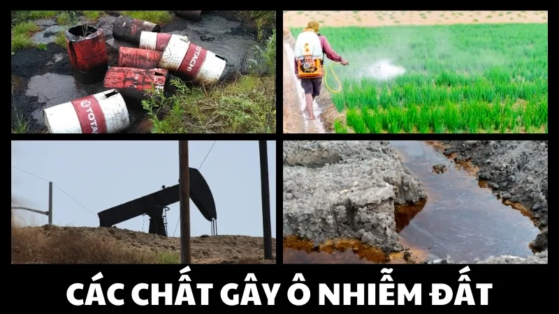 Các chất gây ô nhiễm đất