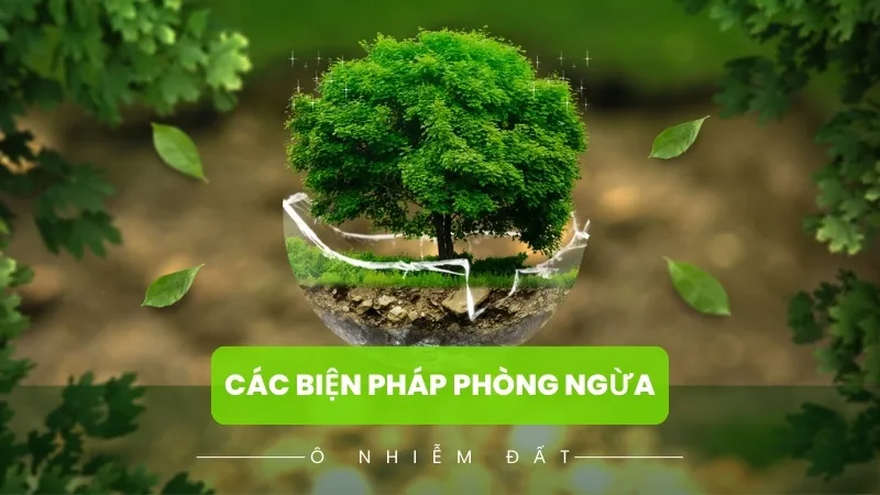 Các biện pháp phòng ngừa ô nhiễm đất