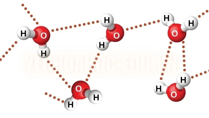 Lực nội phân tử là những lực giúp giữ các nguyên tử trong một phân tử lại với nhau và có vai trò quan trọng trong việc ảnh hưởng đến tính chất và phản ứng của phân tử đó. Có ba loại chính của các liên kết nội phân tử, gồm liên kết cộng hóa trị, liên kết ion, và liên kết kim loại. Mỗi loại liên kết này khác nhau về cách các nguyên tử hoặc ion chia sẻ hoặc chuyển electron giữa chúng để duy trì sự ổn định của phân tử.