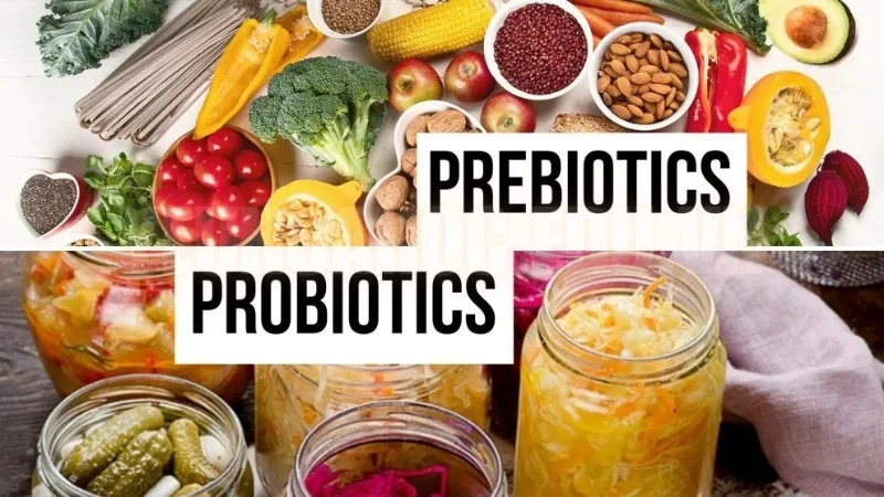 Sự khác biệt giữa Prebiotic và Probiotic